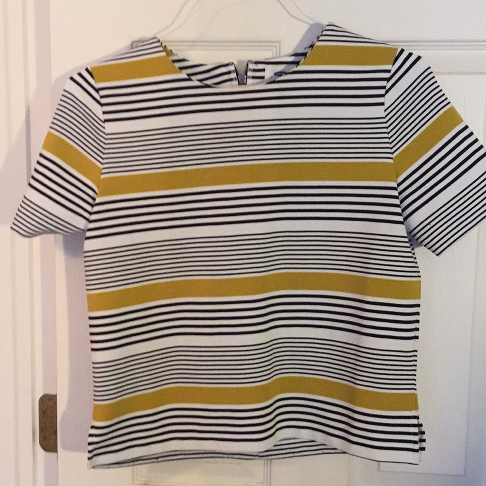 Striped shirt sleeve blouse